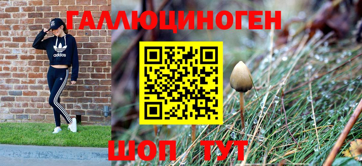 Нижний Тагил  Псилоцибиновые грибы мицелий  Галлюциногенные грибы Psilocybe  Вход с VPN 